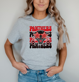 Panthers Rock