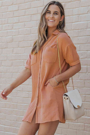 Collared Neck Mini Dress with Pockets